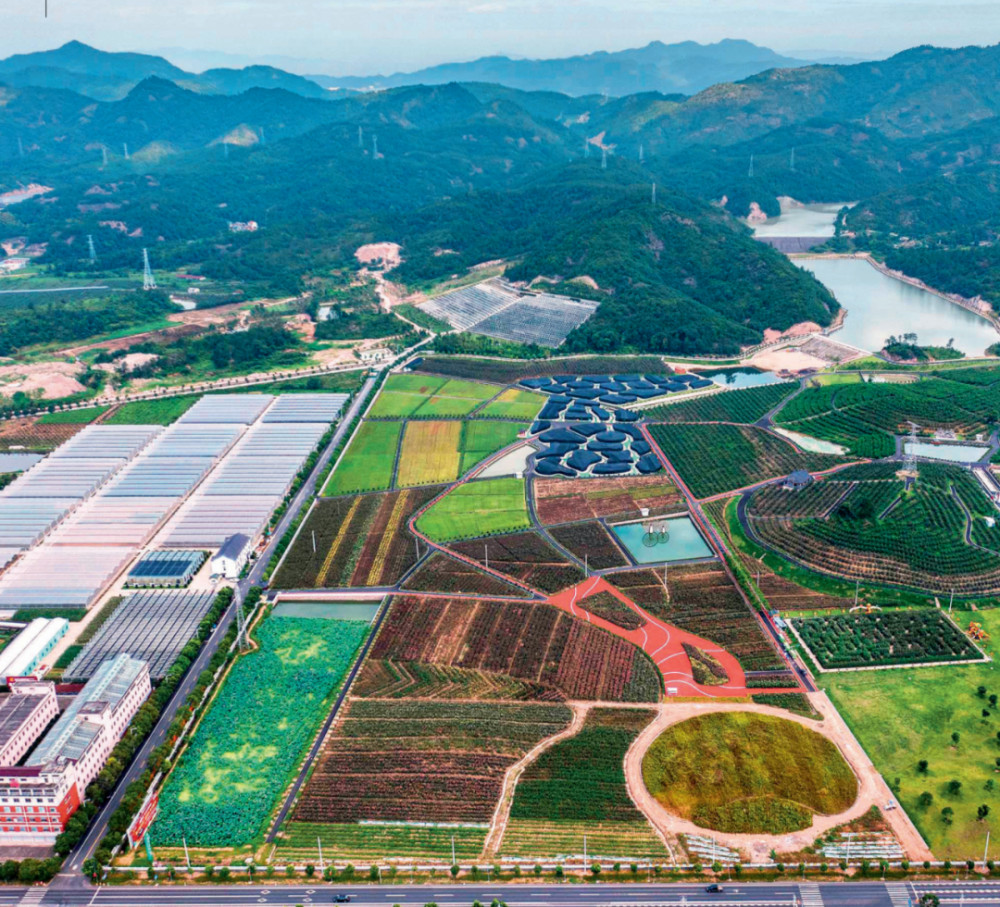 浙江省东阳市花园村的现代农业生态园（2021年7月7日摄）徐昱摄/本刊