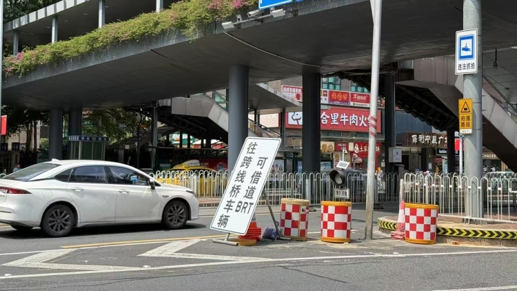 广州BRT部分路段西往东方向开放借道，司机：“龟速慢行”变畅通行驶！
