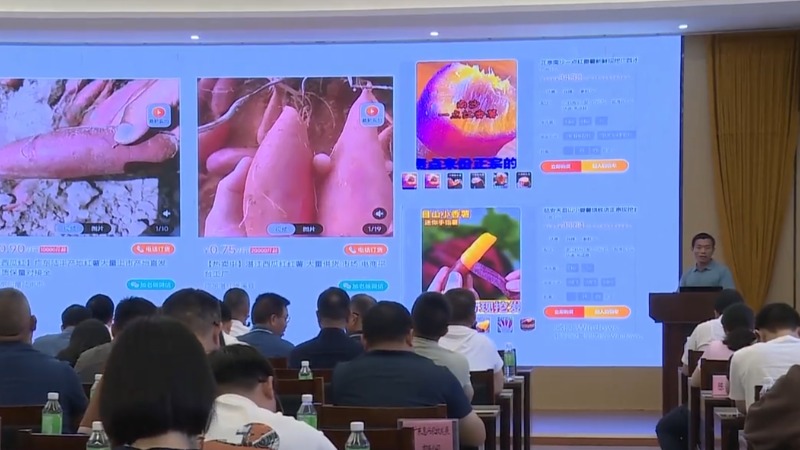 云浮：科技赋农 加快科研成果落地转化