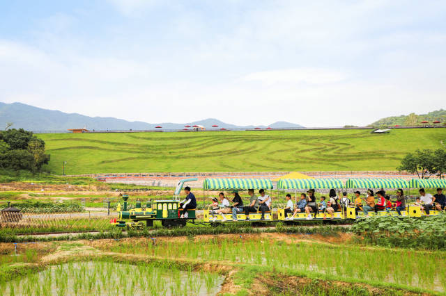 《热闹的大湾区灯会氛围组》李广松