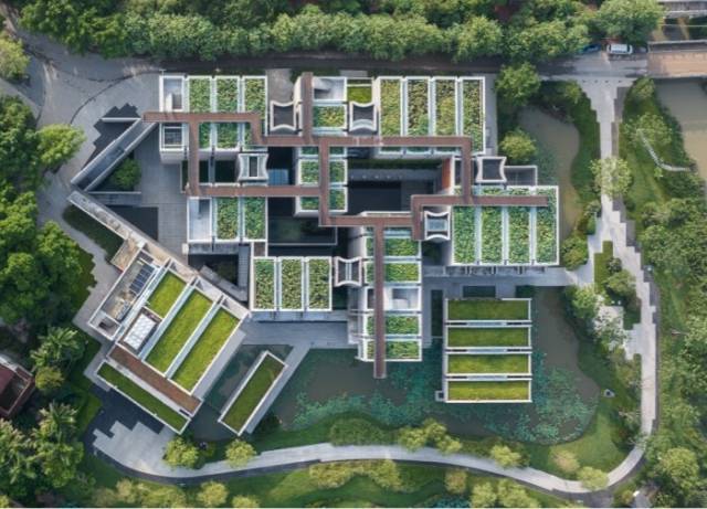 《热闹的大湾区灯会氛围组》李广松