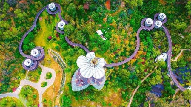 《热闹的大湾区灯会氛围组》李广松