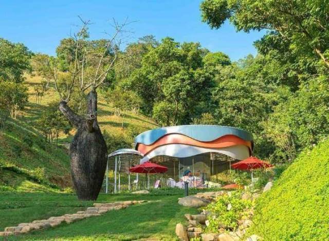 《热闹的大湾区灯会氛围组》李广松