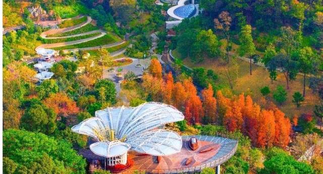 《热闹的大湾区灯会氛围组》李广松