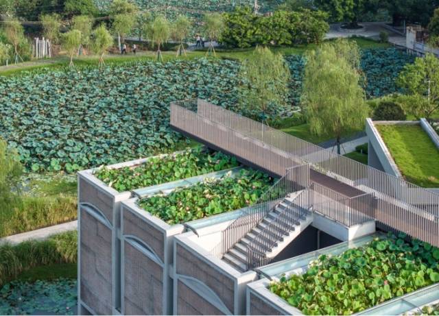 《热闹的大湾区灯会氛围组》李广松