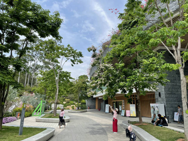 《热闹的大湾区灯会氛围组》李广松