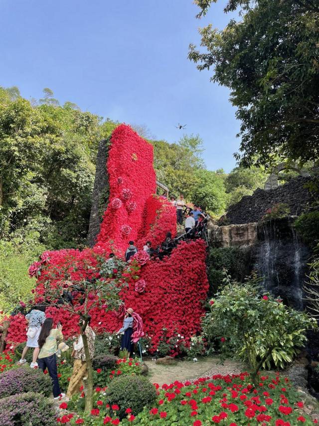 《热闹的大湾区灯会氛围组》李广松
