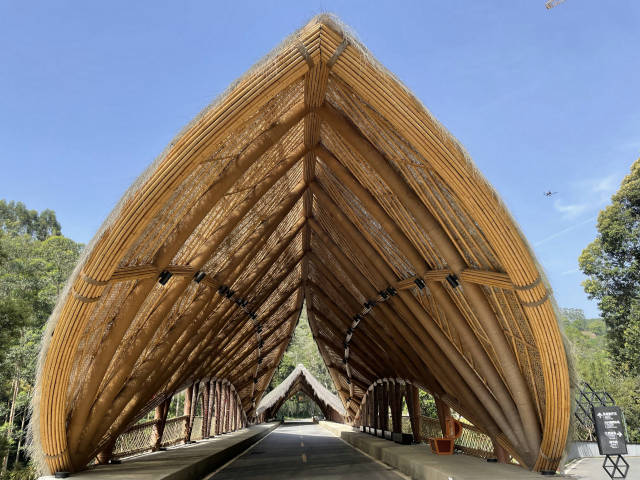 《热闹的大湾区灯会氛围组》李广松