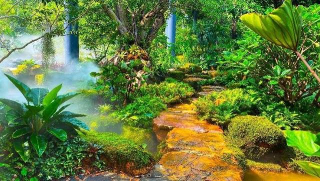 《热闹的大湾区灯会氛围组》李广松