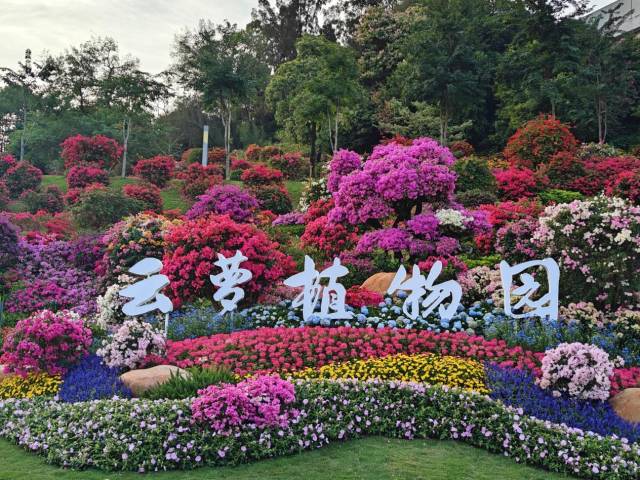 《热闹的大湾区灯会氛围组》李广松