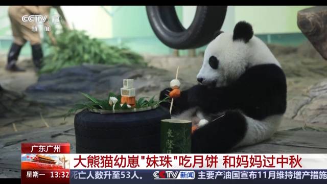 动物园中秋限定“吃播” 看看它们的月饼是什么馅