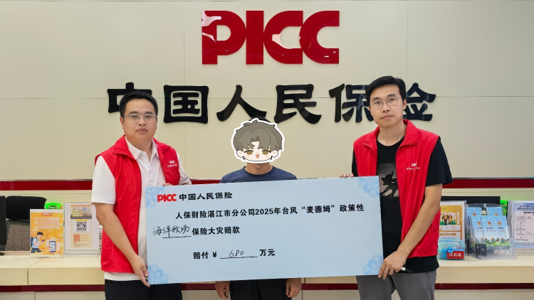 接台风“麦德姆”报案1143件，广东保险业加速理赔助力救灾复产