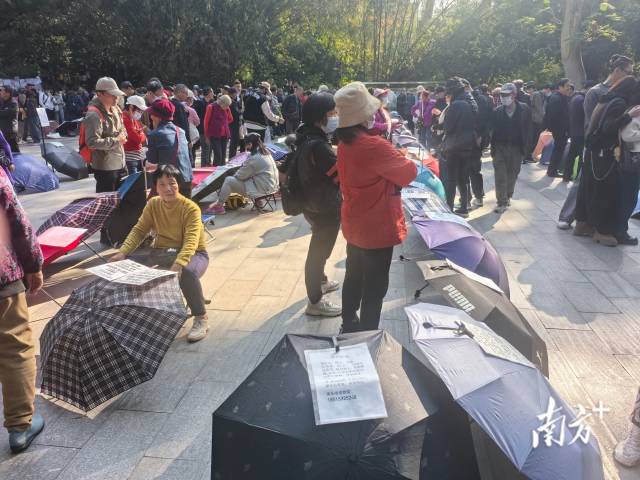 “相亲伞”不少 南方+ 项仙君 拍摄