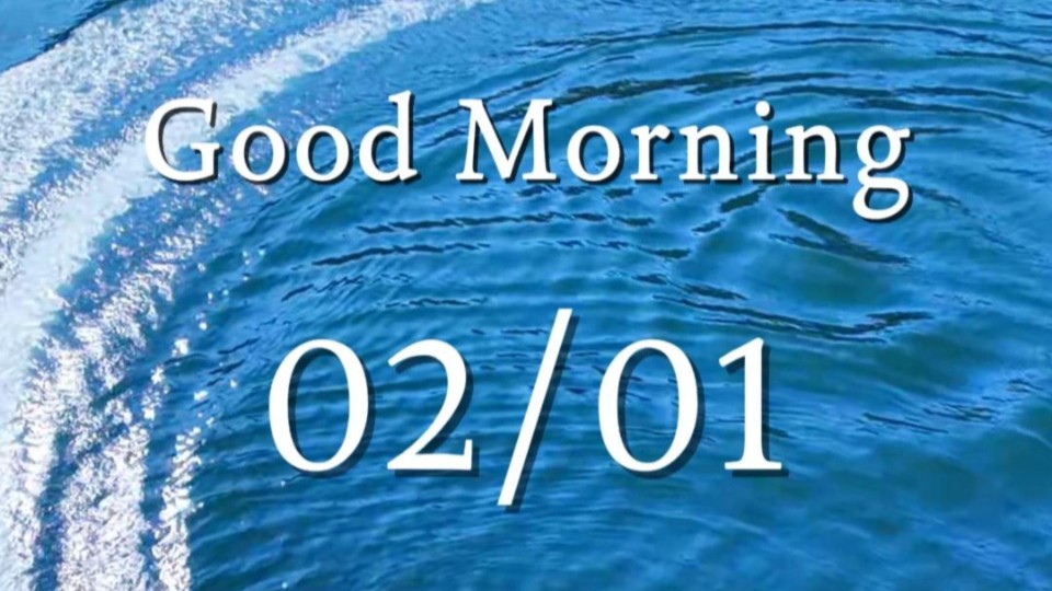 ​Mirror waters and fragrant snow turn Lingnan into a living painting