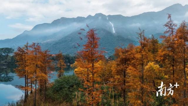 New geological museum to open at Guangdong's Baishuizhai waterfall