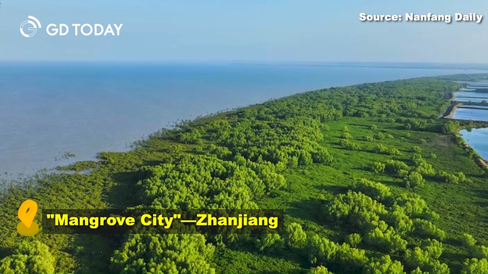 China's first specialized law on wetland protection takes effect