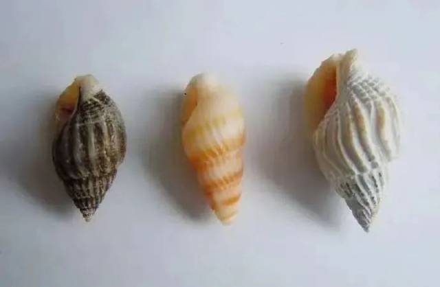 Attention! Do not eat these dangerous foods