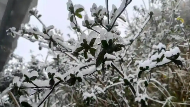 Cold snap hits Guangdong, bringing temperature drop and rain