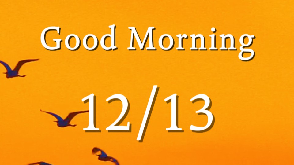 Glow of daylight sketches egrets in line