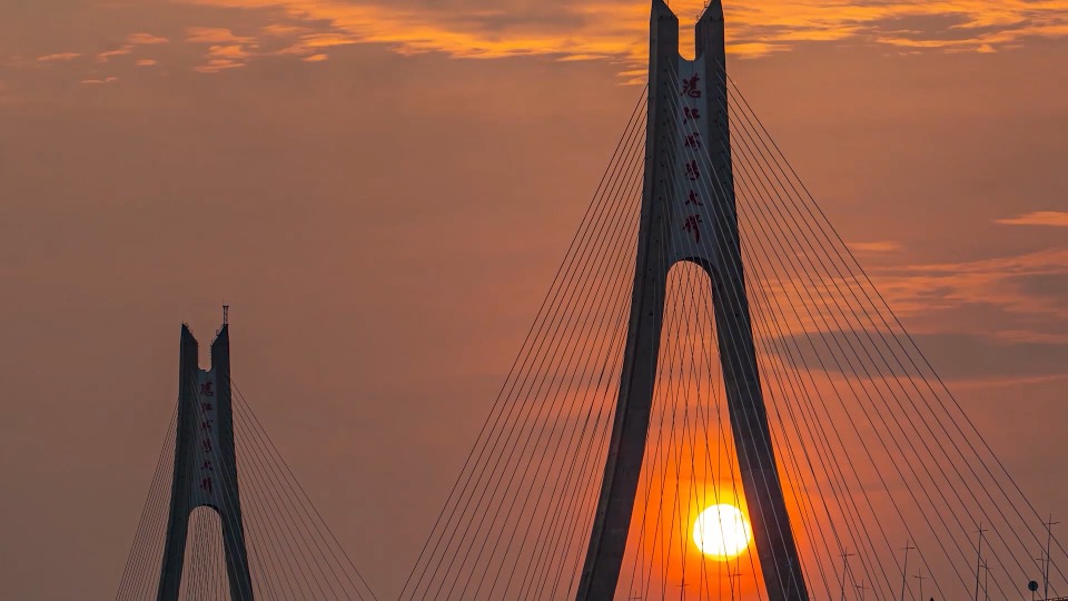 他们，是这座海滨城市跳动的脉搏