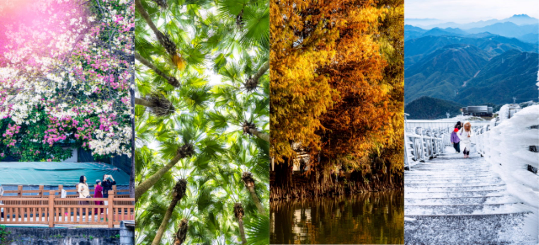 South of Nanling mountains, where four seasons coexist in one frame