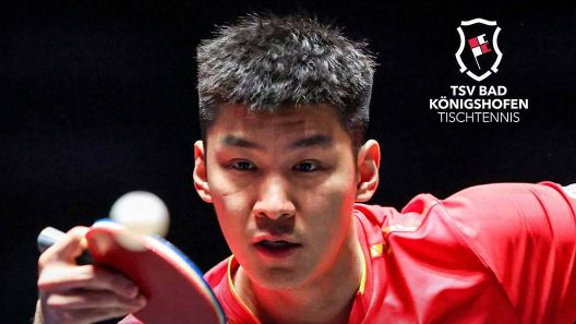 国乒队员薛飞加盟德甲俱乐部！或与樊振东相遇