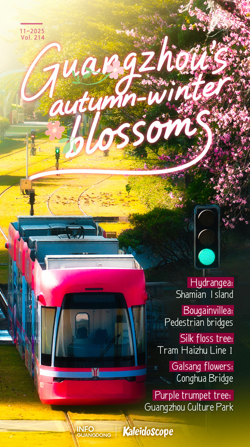 ​Capturing Guangzhou's autumn–winter blossoms