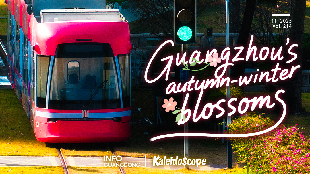 ​Capturing Guangzhou's autumn–winter blossoms