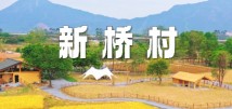 新桥村:农文旅融合的美丽蝶变 新桥村:农文旅融合的美丽蝶变