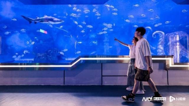 七夕有礼！广州海洋馆特惠开学季，延续暑期旅游热潮