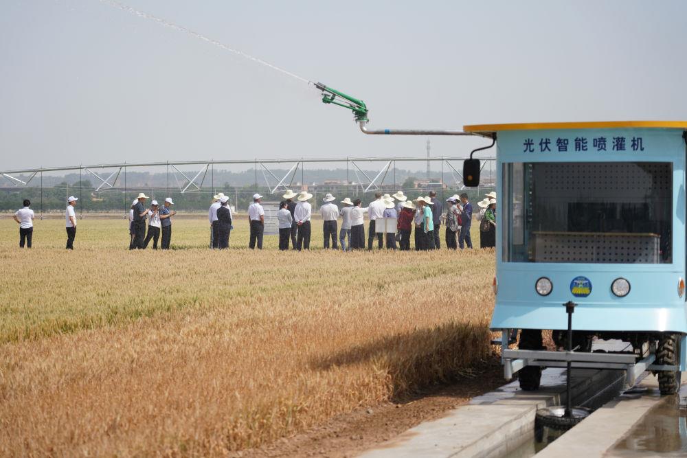 △2025年5月20日，上海合作组织减贫和可持续发展论坛在陕西西安开幕。这是5月19日，与会人员在陕西杨凌示范区进行实地考察等活动。