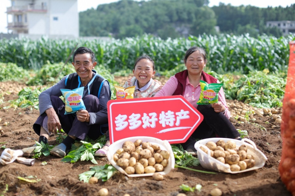 在云南昭通，当地土豆加工的网红薯片让农户丰产增收。（闵杉 摄）　