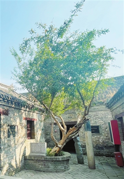 驻马店市丨雄师绾毂中原 红旗漫卷河山——寻访抗战烽火中的驻马店力量