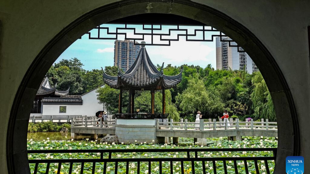 Visitors delight in summer blossoms across China