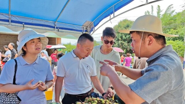 “百千万工程” 三年初见成效丨云安区白石镇人才驿站助力产业提质