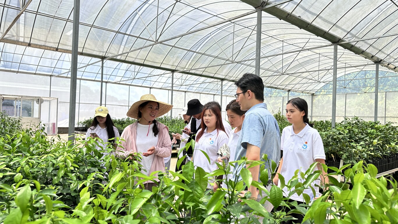 “数字科技人”团队在德庆县采集特色农产品信息。
