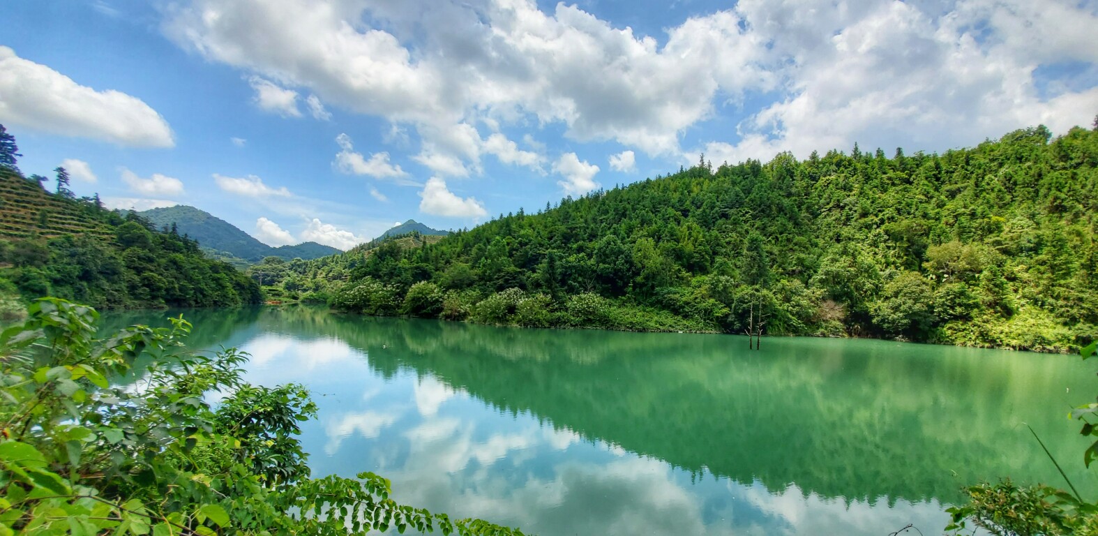 广东促进了高水平的绿色和精美保护区的建造，