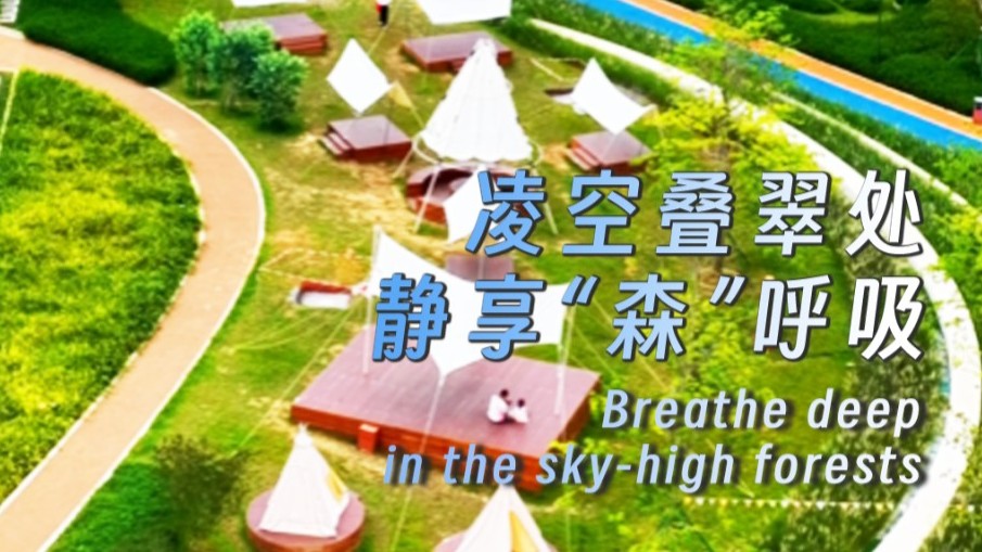 Breathe deep in the sky-high forests