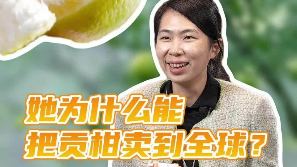 她为什么能把贡柑卖到全球？