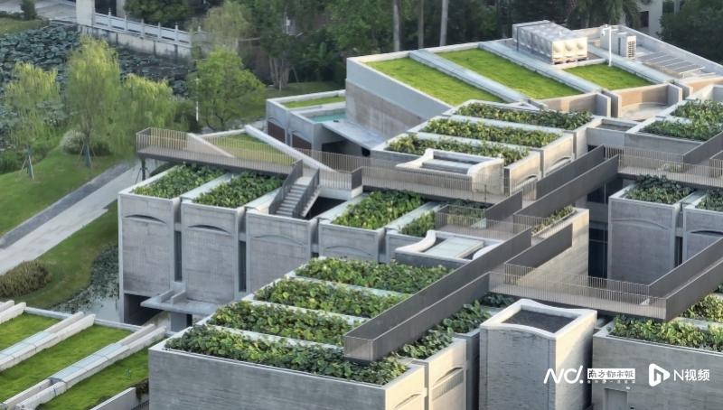 春阳台各栋建筑屋顶的景观种植池通过空中步道相连，与周边天然荷塘和下沉水院相映成趣，使建筑成为与环境和谐共生的“立体荷塘”。