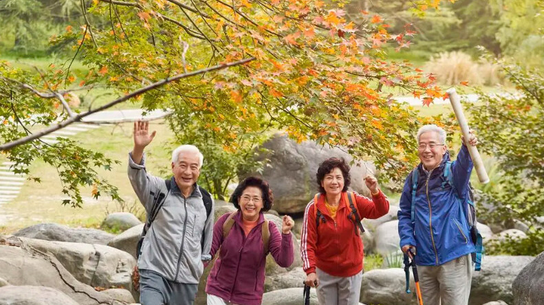 上半年，老年旅游服务收入同比增长26.2%