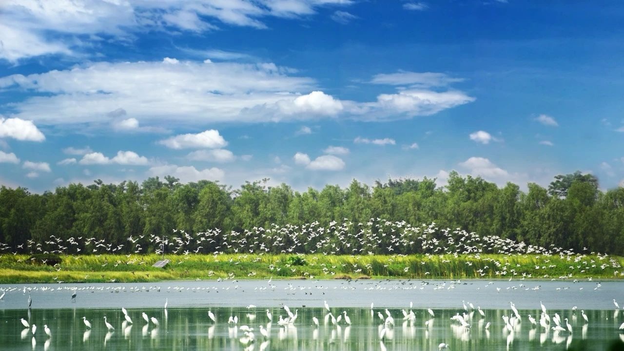 万物共生，让生态意识融入广东的日常烟火气