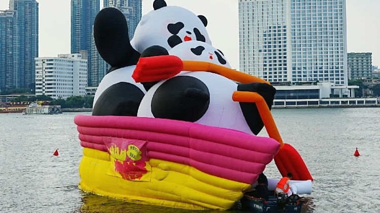 广州高温“不熄火”！热“化了”的安安可可又“复活”了