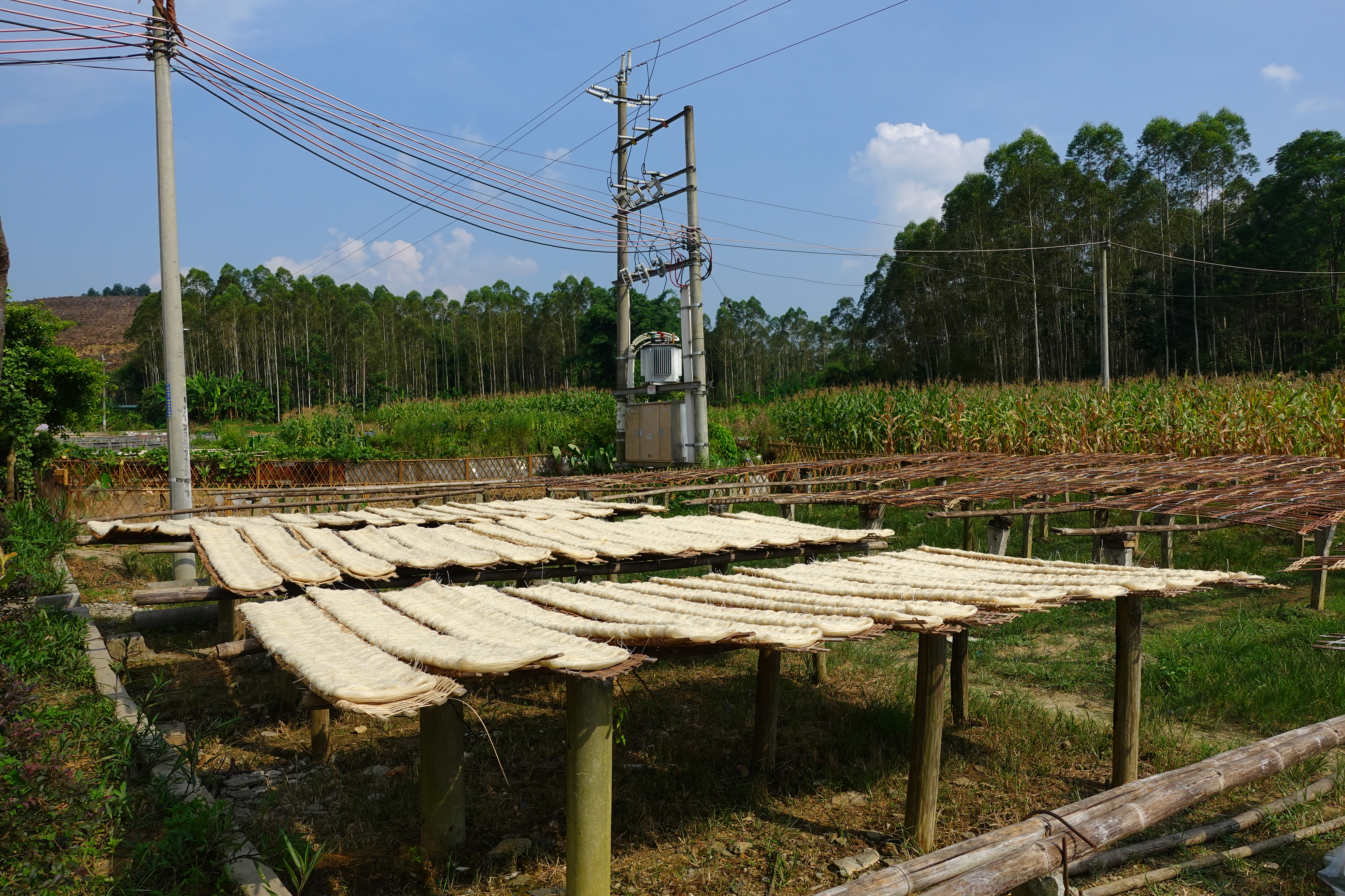 在河边村，随处可见村民晾晒的米面。高雅雅 摄