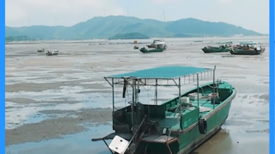 Romance and harvest between the tides