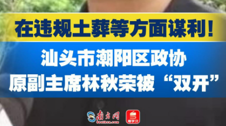 汕头市潮阳区政协原副主席林秋荣被“双开”