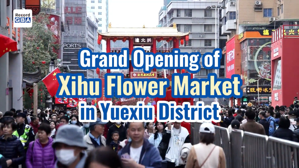 Video｜Big flower market opens in Yuexiu District