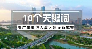 10个关键词，看广东推进大湾区建设新成效