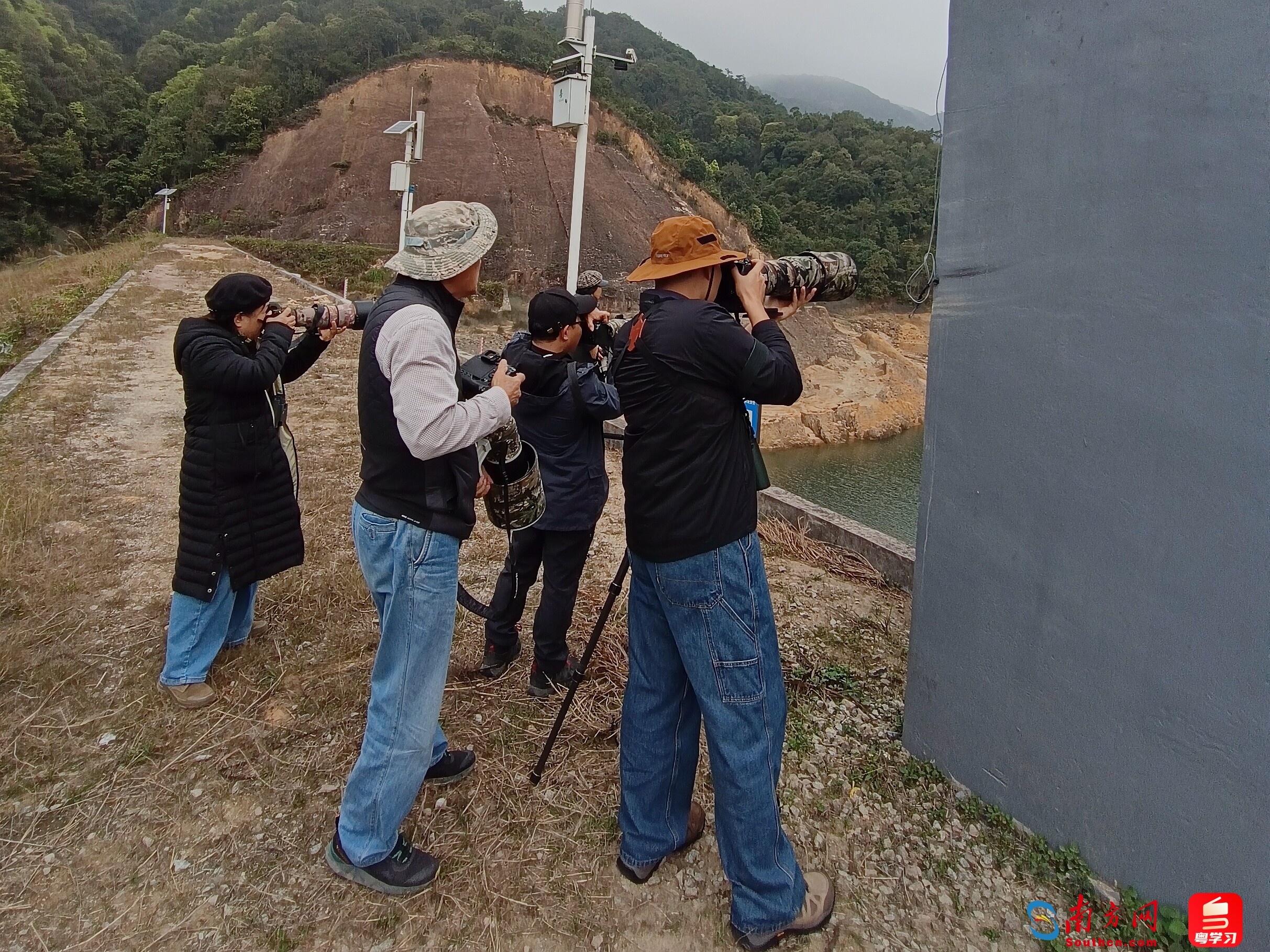 调查组成员正在拍摄记录中华秋沙鸭（通讯员供图）