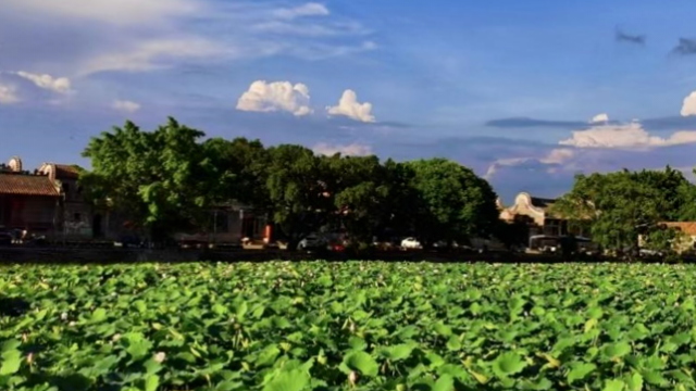 Centuries-old Guangdong village becomes unlikely international sensation